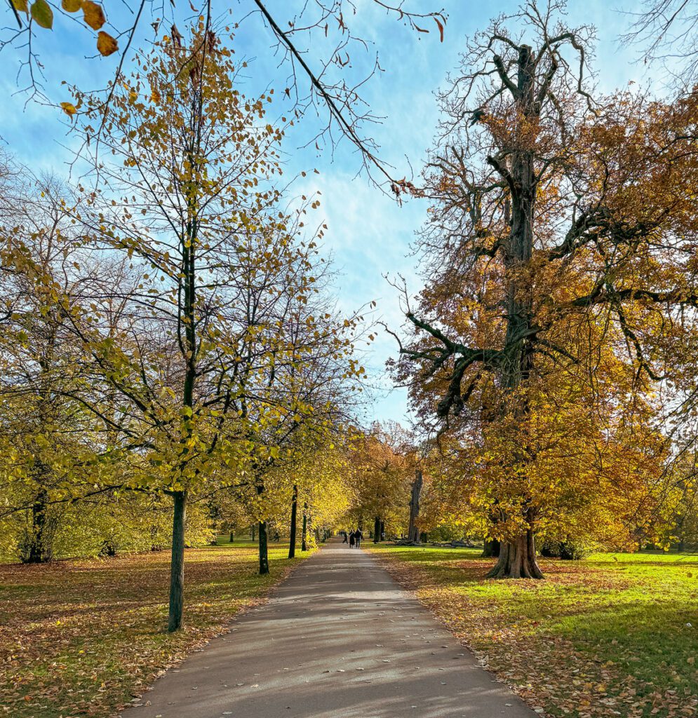 Weg in den Kensington Gardens, London im Winter