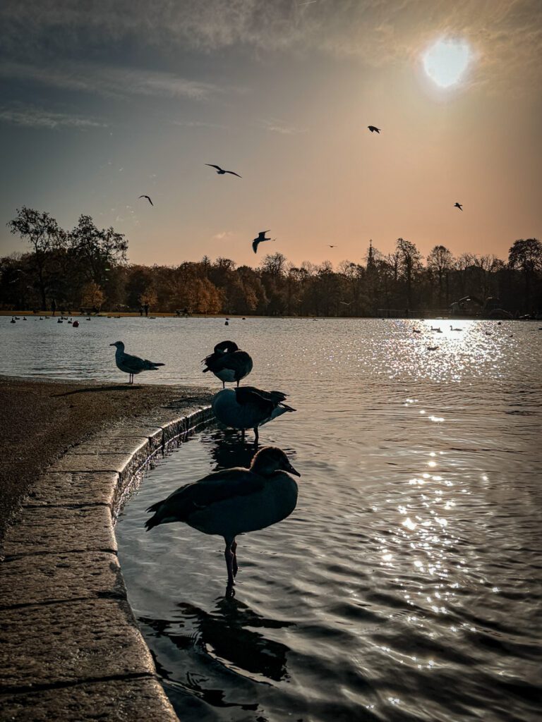 Round Pond, Kensington Gardens im winterlichen Licht in London